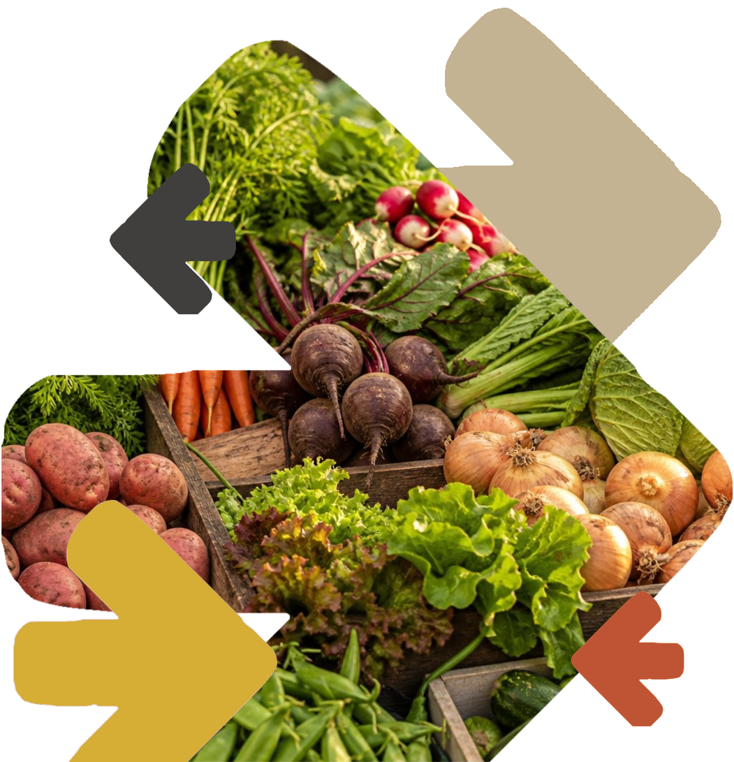 Fresh produce from Pearl Street Urban Farm